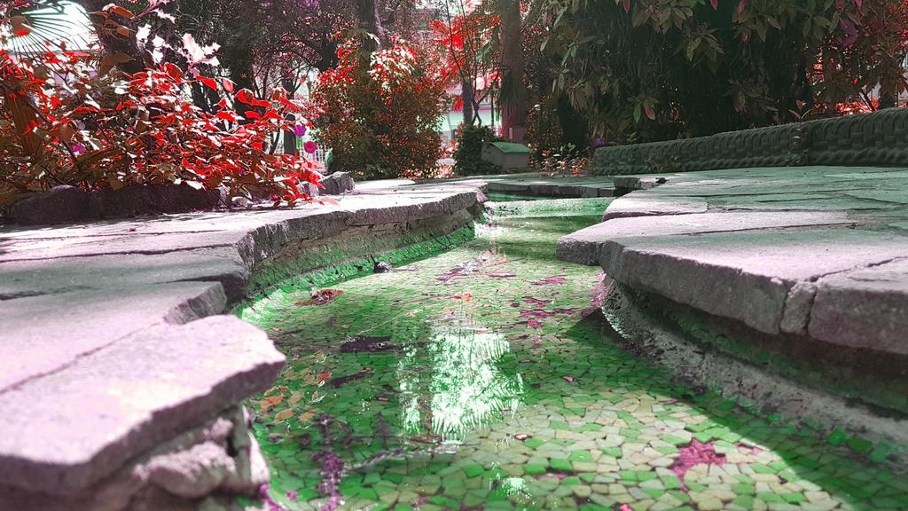 Hotel Terme Villa Piave Abano Terme Ngoại thất bức ảnh